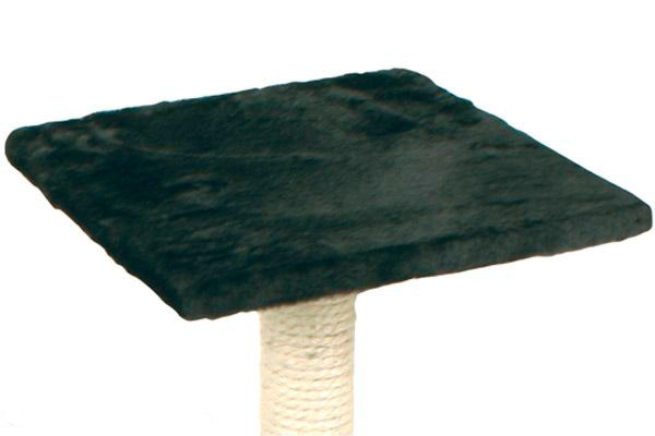 Plateau op 57 cm hoogte.