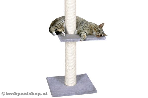 Grijze grondplaat en verschillende grijze plateaus.