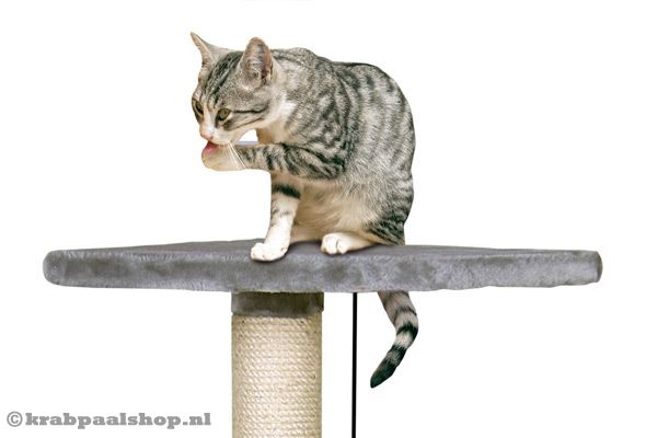 Met pluche uitkijkplateau.