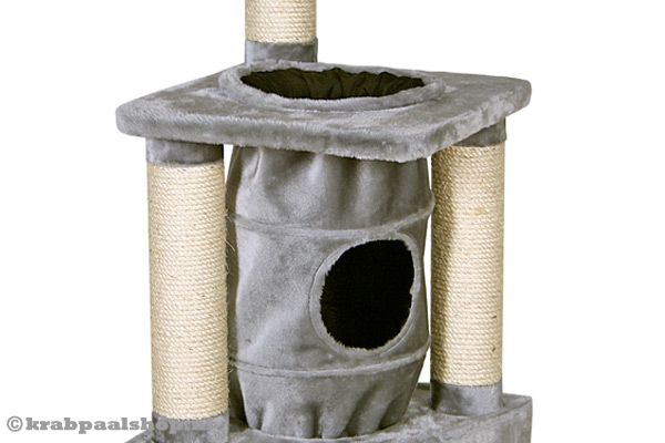 Jouw kat kan via de tunnel omhoog kruipen.