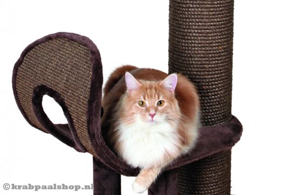 Voorzien van pluche plateau.