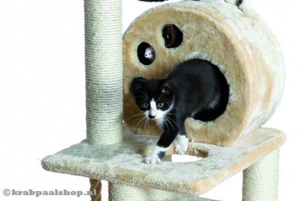 Beige gekleurd slaaphuisje.