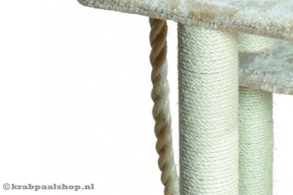 Sisal stammen met een diameter van .....