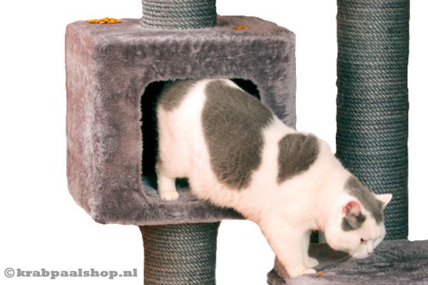 Met een comfortabel slaaphuisje.