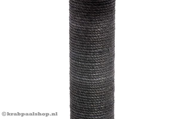 Dikke sisal stam met een diameter van 16 cm.